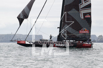 2023-05-08 - Jérémie Beyou and Franck Cammas, CHARAL during the start of the Guyader Bermudes 1000 Race 2023, IMOCA Globe Series sailing race on May 7, 2023 in Brest, France - SAILING - GUYADER BERMUDES 1000 RACE 2023 - SAILING - OTHER SPORTS