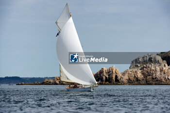 2023-08-23 - Fyne during the Brest Finistere Classic Douarnenez 2023, classic sailing regattas on August 23, 2023 in Brest, France - SAILING - BREST FINISTERE CLASSIC 2023 - SAILING - OTHER SPORTS