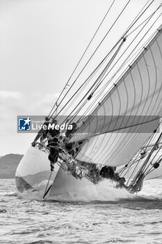 2023-08-24 - Mariquita during the Brest Finistere Classic Douarnenez 2023, classic sailing regattas on August 24, 2023 in Brest, France - SAILING - BREST FINISTERE CLASSIC 2023 - SAILING - OTHER SPORTS