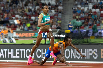 2023-08-19 - Sifan Hassan (NED) falls approaching the finish line, Gudaf Tsegay (ETH) wins, 10,000 Metres Women Final during the World Athletics Championships 2023 on August 19, 2023 at Nemzeti Atletikai Kozpont in Budapest, Hungary - ATHLETICS - WORLD ATHLETICS CHAMPIONSHIPS 2023 - INTERNATIONALS - ATHLETICS