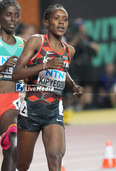2023-08-22 - Faith Kipyegon (KEN), Women's 1500 M during the World Athletics Championships 2023 on August 22, 2023 at Nemzeti Atletikai Kozpont in Budapest, Hungary - ATHLETICS - WORLD ATHLETICS CHAMPIONSHIPS 2023 - INTERNATIONALS - ATHLETICS