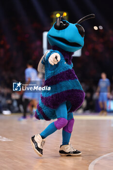 2023-12-30 - Mascot NBA Charlotte Hornets during the All-Star Game LNB 2023, Basketball match between Team France and Team World on December 30, 2023 at Accor Arena in Paris, France - BASKETBALL - ALL-STAR GAME LNB 2023 - FRANCE V WORLD - EVENTS - BASKETBALL