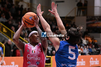 Famila Wuber Schio vs Rmb Brixia Basket - ITALIAN SERIE A1 WOMEN - BASKETBALL
