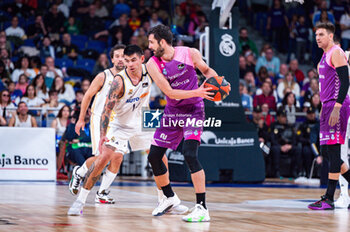 2023-11-26 - Mihajlo Andric of Morabanc Andorra seen in action against Gabriel Deck of Real Madrid during the ACB Spanish league match between Real Madrid and Morabanc Andorra at Wizink Center in Madrid, Spain. - REAL MADRID VS MORABANC ANDORRA - SPANISH LIGA ENDESA ACB - BASKETBALL