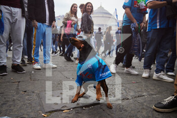 2023-04-30 - A dog with Osimhen mask and shirt, Piazza Plebiscito,  Naples April 30th, 2023. ©Photo: Cinzia Camela. - CELEBRATIONS NAPOLI SOCCER CHAMPIONSHIP (SCUDETTO) VICTORY - OTHER - SOCCER