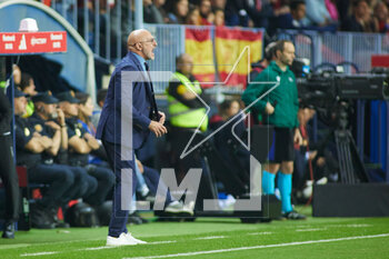25/03/2023 - Luis de la Fuente, head coach of Spain during the UEFA EURO 2024, European Qualifiers group A football match between Spain and Norway on March 25, 2023 at La Rosaleda Stadium in Malaga, Spain - FOOTBALL - EURO 2024 - QUALIFYING - SPAIN V NORWAY - UEFA EUROPEI - CALCIO