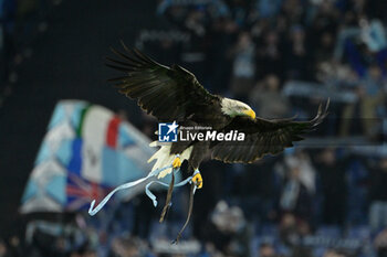 2023-11-28 - Olimpia eagles during the UEFA Champions League 2023-2024 football match between SS Lazio and Celtic FC at the Olympic Stadium in Rome on November 28, 2023. - SS LAZIO VS CELTIC FC - UEFA CHAMPIONS LEAGUE - SOCCER