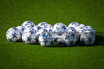 2023-09-18 - Illustration of the Adidas match balls during the training of the Paris Saint-Germain team ahead UEFA Champions League, Group F football match between Paris Saint Germain and Borussia Dortmund on September 18, 2023 at Campus PSG in Poissy, France - FOOTBALL - PARIS SG V BORUSSIA DORTMUND - TRAINING AND PRESS CONFERENCE - UEFA CHAMPIONS LEAGUE - SOCCER