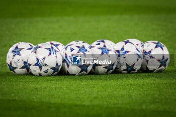 2023-09-19 - Illustration of the Adidas match balls during the UEFA Champions League, Group F football match between Paris Saint Germain and Borussia Dortmund on September 19, 2023 at Parc des Princes stadium in Paris, France - FOOTBALL - UEFA CHAMPIONS LEAGUE - PARIS SG V BORUSSIA DORTMUND - UEFA CHAMPIONS LEAGUE - SOCCER