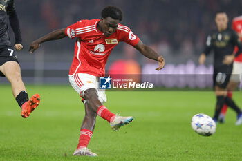 2023-10-24 - David Datro Fofana of Union Berlin during the UEFA Champions League, Group C football match between Union Berlin and SSC Napoli on October 24, 2023 at Olympiastadion in Berlin, Germany - FOOTBALL - CHAMPIONS LEAGUE - UNION BERLIN V NAPOLI - UEFA CHAMPIONS LEAGUE - SOCCER