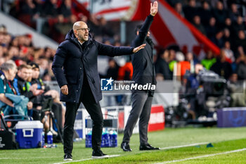 2023-12-12 - Coach Peter Bosz of PSV during the UEFA Champions League, Group B football match between PSV and Arsenal on December 12, 2023 at the Phillips Stadion in Eindhoven, Netherlands - FOOTBALL - CHAMPIONS LEAGUE - PSV V ARSENAL - UEFA CHAMPIONS LEAGUE - SOCCER