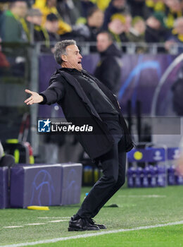 2023-12-13 - Coach Luis Enrique of Paris SG during the UEFA Champions League, Group F football match between Borussia Dortmund and Paris Saint-Germain on December 13, 2023 at Signal Iduna Park in Dortmund, Germany - FOOTBALL - CHAMPIONS LEAGUE - DORTMUND V PARIS SG - UEFA CHAMPIONS LEAGUE - SOCCER