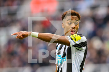 2023-01-15 - Newcastle's Joe Willock during the Premier League match between Newcastle United and Fulham at St. James' Park, Newcastle, England on 15 January 2023. Photo Malcolm Mackenzie/ProSportsImages / DPPI - FOOTBALL - ENGLISG CHAMP - NEWCASTLE V FULHAM - ENGLISH PREMIER LEAGUE - SOCCER