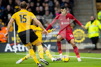 2023-02-04 - Liverpool forward Cody Gakpo during the English championship Premier League football match between Wolverhampton Wanderers and Liverpool on February 4, 2023 at Molineux stadium in Wolverhampton, England - FOOTBALL - ENGLISH CHAMP - WOLVERHAMPTON V LIVERPOOL - ENGLISH PREMIER LEAGUE - SOCCER
