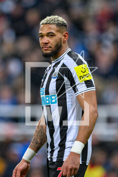 2023-02-18 - Joelinton of Newcastle during the English championship Premier League football match between Newcastle United and Liverpool on February 18, 2023 at St James’ Park in Newcastle, England - FOOTBALL - ENGLISH CHAMP - NEWCASTLE V LIVERPOOL - ENGLISH PREMIER LEAGUE - SOCCER