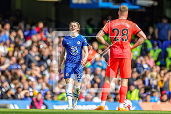 2023-04-15 - Conor Gallagher (23) of Chelsea scores a goal and celebrates 1-0 during the English championship Premier League football match between Chelsea and Brighton and Hove Albion on 15 April 2023 at Stamford Bridge in London, England - FOOTBALL - ENGLISH CHAMP - CHELSEA V BRIGHTON - ENGLISH PREMIER LEAGUE - SOCCER