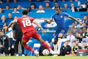 2023-08-13 - Liverpool forward Cody Gakpo (18) battles with Chelsea midfielder Carney Chukwuemeka (17) during the English championship Premier League football match between Chelsea and Liverpool on 13 August 2023 at Stamford Bridge in London, England - FOOTBALL - ENGLISH CHAMP - CHELSEA V LIVERPOOL - ENGLISH PREMIER LEAGUE - SOCCER