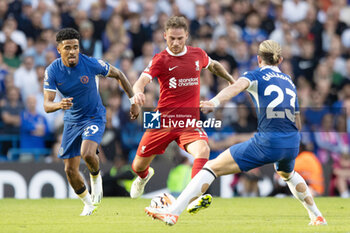 2023-08-13 - Chelsea midfielder Conor Gallagher (23) battles with Liverpool midfielder Alexis Mac Allister (10) during the English championship Premier League football match between Chelsea and Liverpool on 13 August 2023 at Stamford Bridge in London, England - FOOTBALL - ENGLISH CHAMP - CHELSEA V LIVERPOOL - ENGLISH PREMIER LEAGUE - SOCCER