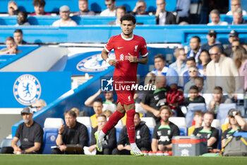 2023-08-13 - Liverpool midfielder Luis Diaz (7) during the English championship Premier League football match between Chelsea and Liverpool on 13 August 2023 at Stamford Bridge in London, England - FOOTBALL - ENGLISH CHAMP - CHELSEA V LIVERPOOL - ENGLISH PREMIER LEAGUE - SOCCER