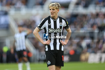 2023-10-21 - Anthony Gordon of Newcastle during the English championship Premier League football match between Newcastle United and Crystal Palace on 21 October 2023 at St. James's Park in Newcastle, England - FOOTBALL - ENGLISH CHAMP - NEWCASTLE V CRYSTAL PALACE - ENGLISH PREMIER LEAGUE - SOCCER