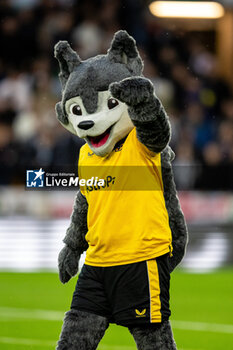 2023-10-28 - Wolves mascot before the English championship Premier League football match between Wolverhampton Wanderers and Newcastle United on 28 October 2023 at Molineux in Wolverhampton, England - FOOTBALL - ENGLISH CHAMP - WOLVERHAMPTON V NEWCASTLE - ENGLISH PREMIER LEAGUE - SOCCER