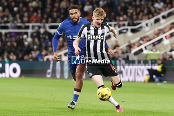 2023-11-25 - Anthony Gordon of Newcastle and Reece James of Chelsea during the English championship Premier League football match between Newcastle United and Chelsea on 25 November 2023 at St James's Park in Newcastle, England - FOOTBALL - ENGLISH CHAMP - NEWCASTLE V CHELSEA - ENGLISH PREMIER LEAGUE - SOCCER