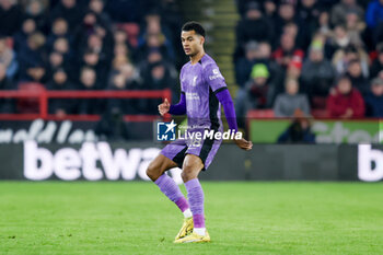 2023-12-06 - Liverpool forward Cody Gakpo during the English championship Premier League football match between Sheffield United and Liverpool FC on 6 December 2023 at Bramall Lane in Sheffield, England - FOOTBALL - ENGLISH CHAMP - SHEFFIELD V LIVERPOOL - ENGLISH PREMIER LEAGUE - SOCCER