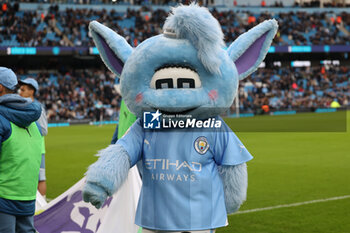 2023-12-16 - Moonchester the Manchester City mascot before the English championship Premier League football match between Manchester City and Crystal Palace on 16 December 2023 at the Etihad Stadium in Manchester, England - FOOTBALL - ENGLISH CHAMP - MANCHESTER CITY V CRYSTAL PALACE - ENGLISH PREMIER LEAGUE - SOCCER