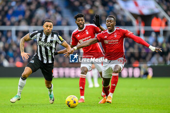 2023-12-26 - Callum Wilson of Newcastle and Moussa Niakhate of Nottingham Forest during the English championship Premier League football match between Newcastle United and Nottingham Forest on 26 December 2023 at St. James' Park in Newcastle, England - FOOTBALL - ENGLISH CHAMP - NEWCASTLE V NOTTINGHAM FOREST - ENGLISH PREMIER LEAGUE - SOCCER