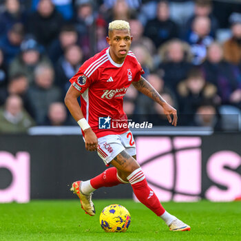 2023-12-26 - Danilo of Nottingham Forest during the English championship Premier League football match between Newcastle United and Nottingham Forest on 26 December 2023 at St. James' Park in Newcastle, England - FOOTBALL - ENGLISH CHAMP - NEWCASTLE V NOTTINGHAM FOREST - ENGLISH PREMIER LEAGUE - SOCCER