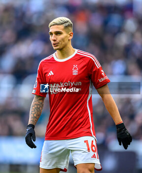 2023-12-26 - Nicolas Dominguez of Nottingham Forest during the English championship Premier League football match between Newcastle United and Nottingham Forest on 26 December 2023 at St. James' Park in Newcastle, England - FOOTBALL - ENGLISH CHAMP - NEWCASTLE V NOTTINGHAM FOREST - ENGLISH PREMIER LEAGUE - SOCCER