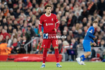 2023-10-05 - Liverpool midfielder Curtis Jones during the UEFA Europa League, Group E football match between Liverpool and Royale Union Saint-Gilloise on 5 October 2023 at Anfield stadium in Liverpool, England - FOOTBALL - EUROPA LEAGUE - LIVERPOOL V ROYALE UNION SAINT GILLOISE - UEFA EUROPA LEAGUE - SOCCER