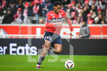 2023-02-12 - Jonathan DAVID of Lille during the French championship Ligue 1 football match between Losc Lille and RC Strasbourg on February 12, 2023 at Pierre Mauroy stadium in Villeneuve-d'Ascq near Lille, France - FOOTBALL - FRENCH CHAMP - LILLE V STRASBOURG - FRENCH LIGUE 1 - SOCCER