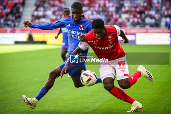 2023-10-01 - Clinton MATA of Lyon and Marshall MUNETSI of Reims during the French championship Ligue 1 football match between Stade de Reims and Olympique Lyonnais on October 1, 2023 at Auguste Delaune stadium in Reims, France - FOOTBALL - FRENCH CHAMP - REIMS V LYON - FRENCH LIGUE 1 - SOCCER