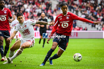 2023-10-22 - Martin SATRIANO of Brest and Leny YORO of Lille during the French championship Ligue 1 football match between Losc Lille and Stade Brestois (Brest) on October 22, 2023 at Pierre Mauroy stadium in Villeneuve-d'Ascq near Lille, France - FOOTBALL - FRENCH CHAMP - LILLE V BREST - FRENCH LIGUE 1 - SOCCER