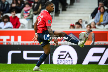2023-10-22 - Ivan CAVALEIRO of Lille during the French championship Ligue 1 football match between Losc Lille and Stade Brestois (Brest) on October 22, 2023 at Pierre Mauroy stadium in Villeneuve-d'Ascq near Lille, France - FOOTBALL - FRENCH CHAMP - LILLE V BREST - FRENCH LIGUE 1 - SOCCER