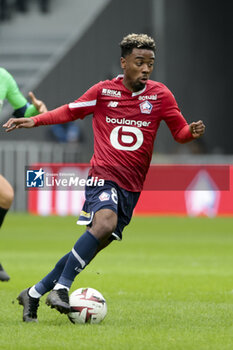 2023-11-12 - Angel Gomes of Lille during the French championship Ligue 1 football match between Losc Lille and Toulouse Herault SC on November 12, 2023 at Decathlon Arena Stade Pierre Mauroy in Villeneuve-d'Ascq near Lille, France - FOOTBALL - FRENCH CHAMP - LILLE V TOULOUSE - FRENCH LIGUE 1 - SOCCER