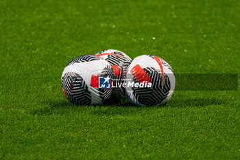 2023-11-05 - The official ball ahead of the Women's French championship, D1 Arkema football match between Paris FC and Olympique Lyonnais (Lyon) on November 5, 2023 at Sébastien Charléty stadium in Paris, France - FOOTBALL - WOMEN'S FRENCH CHAMP - PARIS FC V LYON - FRENCH WOMEN DIVISION 1 - SOCCER