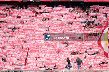 2023-05-13 - Fans of Bayern Munich during the German championship Bundesliga football match between Bayern Munich and Schalke 04 on May 13, 2023 at Allianz Arena in Munich, Germany - FOOTBALL - GERMAN CHAMP - BAYERN MUNICH V SCHALKE 04 - GERMAN BUNDESLIGA - SOCCER