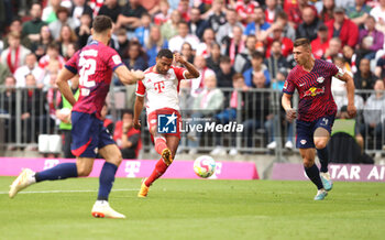 2023-05-20 - Serge Gnabry of Bayern Munich scores a goal 1-0 during the German championship Bundesliga football match between Bayern Munich and RB Leipzig on May 20, 2023 at Allianz Arena in Munich, Germany - FOOTBALL - GERMAN CHAMP - BAYERN MUNICH V RB LEIPZIG - GERMAN BUNDESLIGA - SOCCER