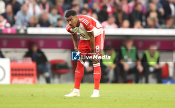 2023-05-20 - Ryan Gravenberch of Bayern Munich looks dejected at full time during the German championship Bundesliga football match between Bayern Munich and RB Leipzig on May 20, 2023 at Allianz Arena in Munich, Germany - FOOTBALL - GERMAN CHAMP - BAYERN MUNICH V RB LEIPZIG - GERMAN BUNDESLIGA - SOCCER