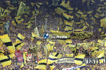 2023-08-19 - Fans of Borussia Dortmund during the German championship Bundesliga football match between Borussia Dortmund and FC Koln on August 19, 2023 at Signal Iduna Park in Dortmund, Germany - FOOTBALL - GERMAN CHAMP - DORTMUND V KOLN - GERMAN BUNDESLIGA - SOCCER