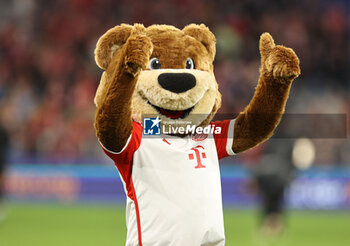 2023-10-08 - Mascot Berni of Bayern Munich during the German championship Bundesliga football match between Bayern Munich and SC Freiburg on October 8, 2023 at Allianz Arena in Munich, Germany - FOOTBALL - GERMAN CHAMP - BAYERN MUNICH V FREIBURG - GERMAN BUNDESLIGA - SOCCER