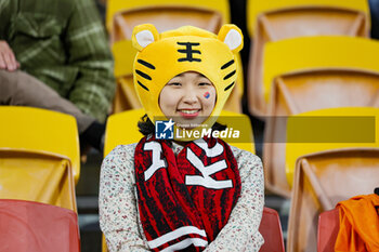 2023-08-03 - Korea Republic fan during the 2023 FIFA Women’s World Cup, Group H football match between Korea Republic and Germany on 3 August 2023 at Brisbane Stadium in Brisbane, Australia - FOOTBALL - WOMEN'S WORLD CUP 2023 - KOREA REPUBLIC V GERMANY - FIFA WORLD CUP - SOCCER