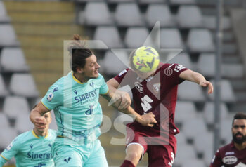 Torino FC vs Hellas Verona - ITALIAN SERIE A - SOCCER