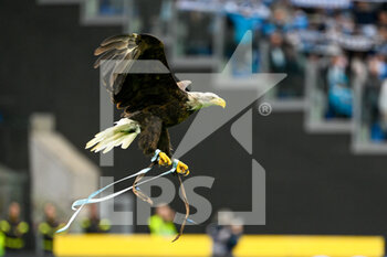 2023-01-08 - Eagle Olimpia during the Italian Football Championship League A 2022/2023 match between SS Lazio vs Empoli FC at the Olimpic Stadium in Rome on 08 January 2023. - SS LAZIO VS EMPOLI FC - ITALIAN SERIE A - SOCCER