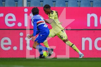 22/01/2023 - Tommaso Augello (Sampdoria) - Kingsley Ehizibue (Udinese) - UC SAMPDORIA VS UDINESE CALCIO - SERIE A - CALCIO