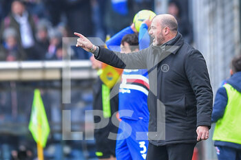 22/01/2023 - Dejan Stankovic (Sampdoria) head coach - UC SAMPDORIA VS UDINESE CALCIO - SERIE A - CALCIO
