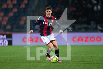2023-01-27 - Andrea Cambiaso (Bologna FC) in action - BOLOGNA FC VS SPEZIA CALCIO - ITALIAN SERIE A - SOCCER