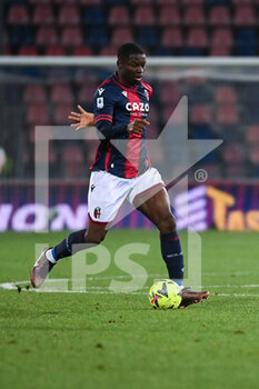 2023-01-27 - Adama Soumaoro (Bologna) in action - BOLOGNA FC VS SPEZIA CALCIO - ITALIAN SERIE A - SOCCER